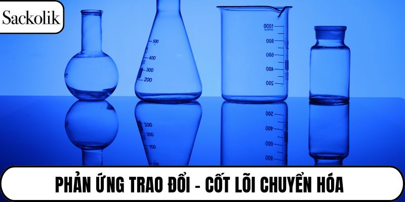 phản ứng trao đổi